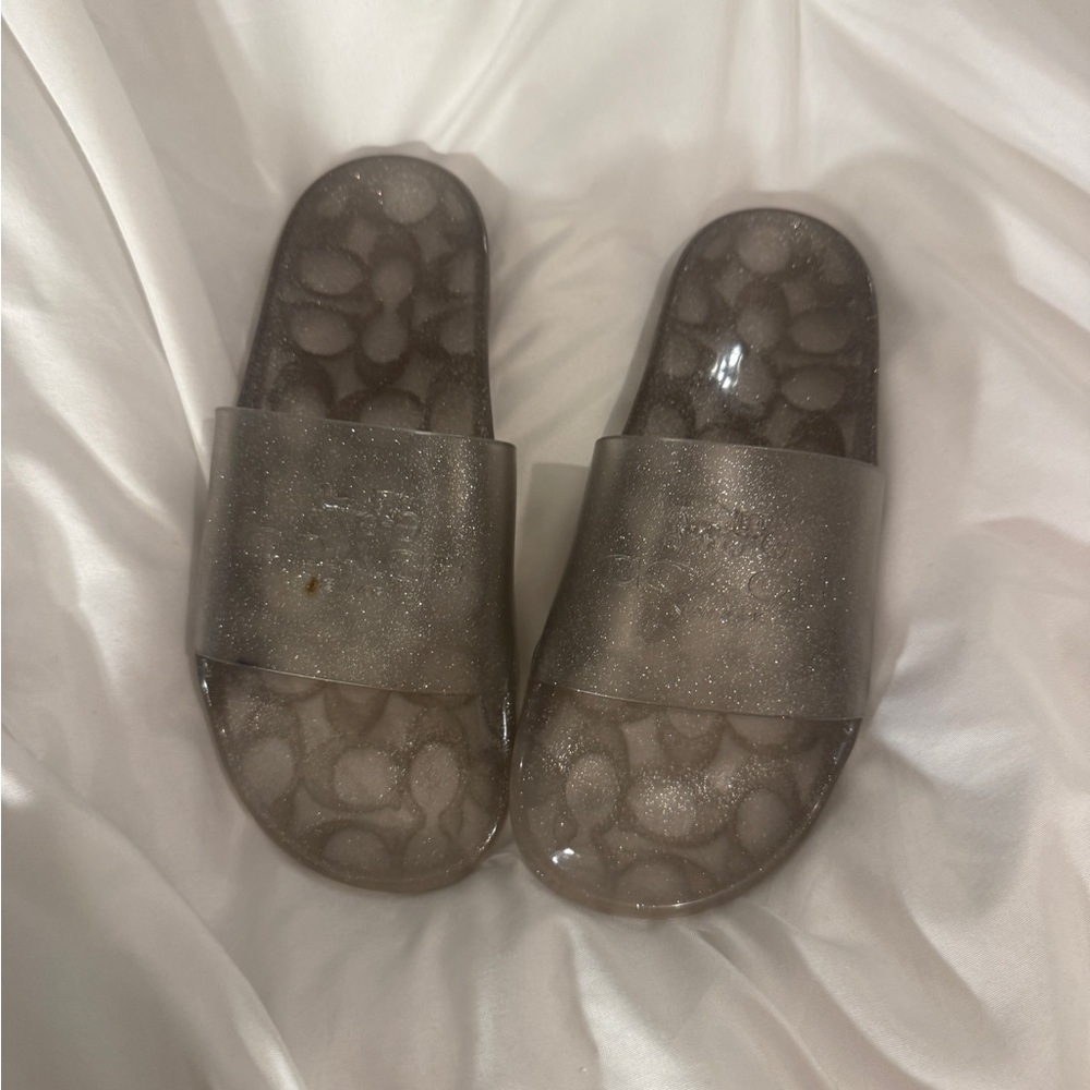 Coach Shimmering Gray Slide Sandals